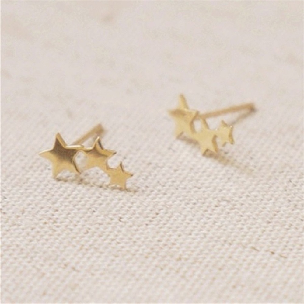 💲💲💲price reduction! 3star earrings